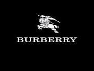 Confira aqui todos modelos de Bolsas Burberry